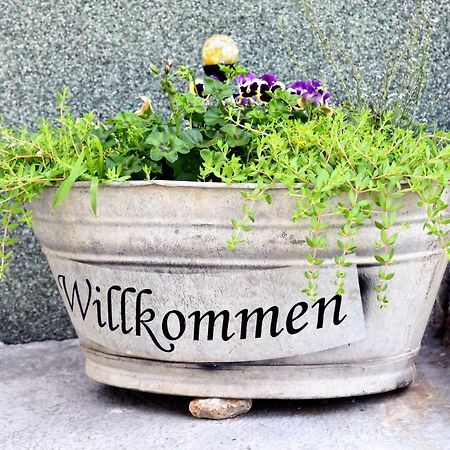 Ferienhaus "Am Gutspark" Alt Tucheband Buitenkant foto