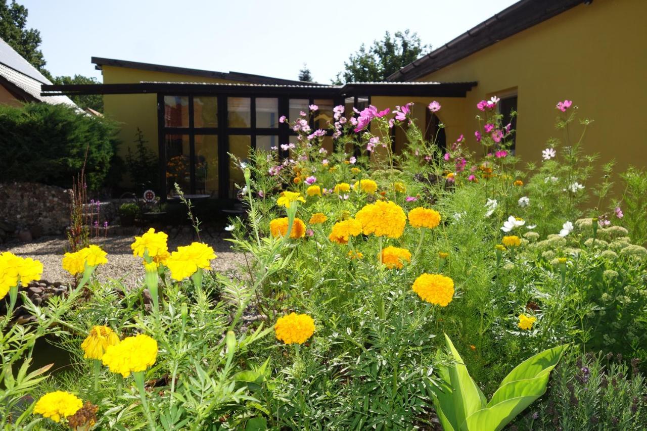Ferienhaus "Am Gutspark" Alt Tucheband Buitenkant foto
