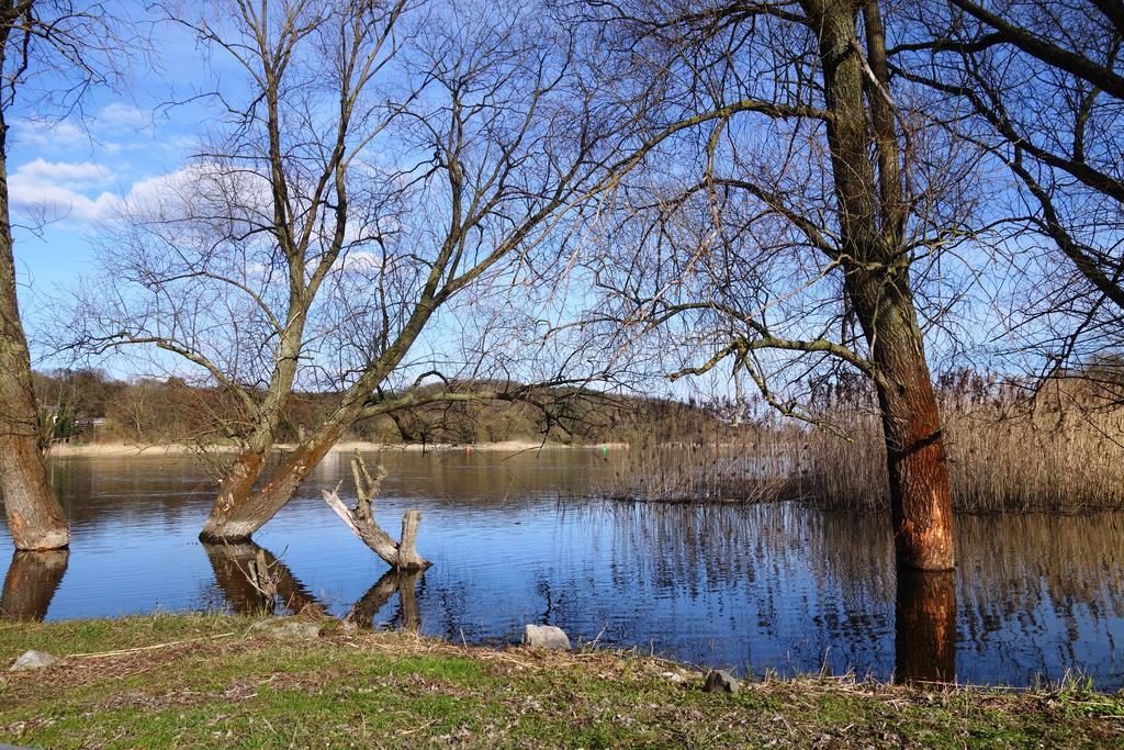 Ferienhaus "Am Gutspark" Alt Tucheband Buitenkant foto