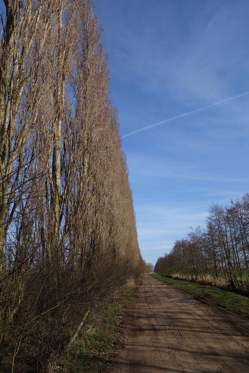 Ferienhaus "Am Gutspark" Alt Tucheband Buitenkant foto