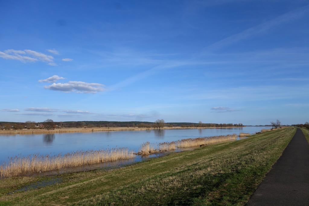 Ferienhaus "Am Gutspark" Alt Tucheband Buitenkant foto