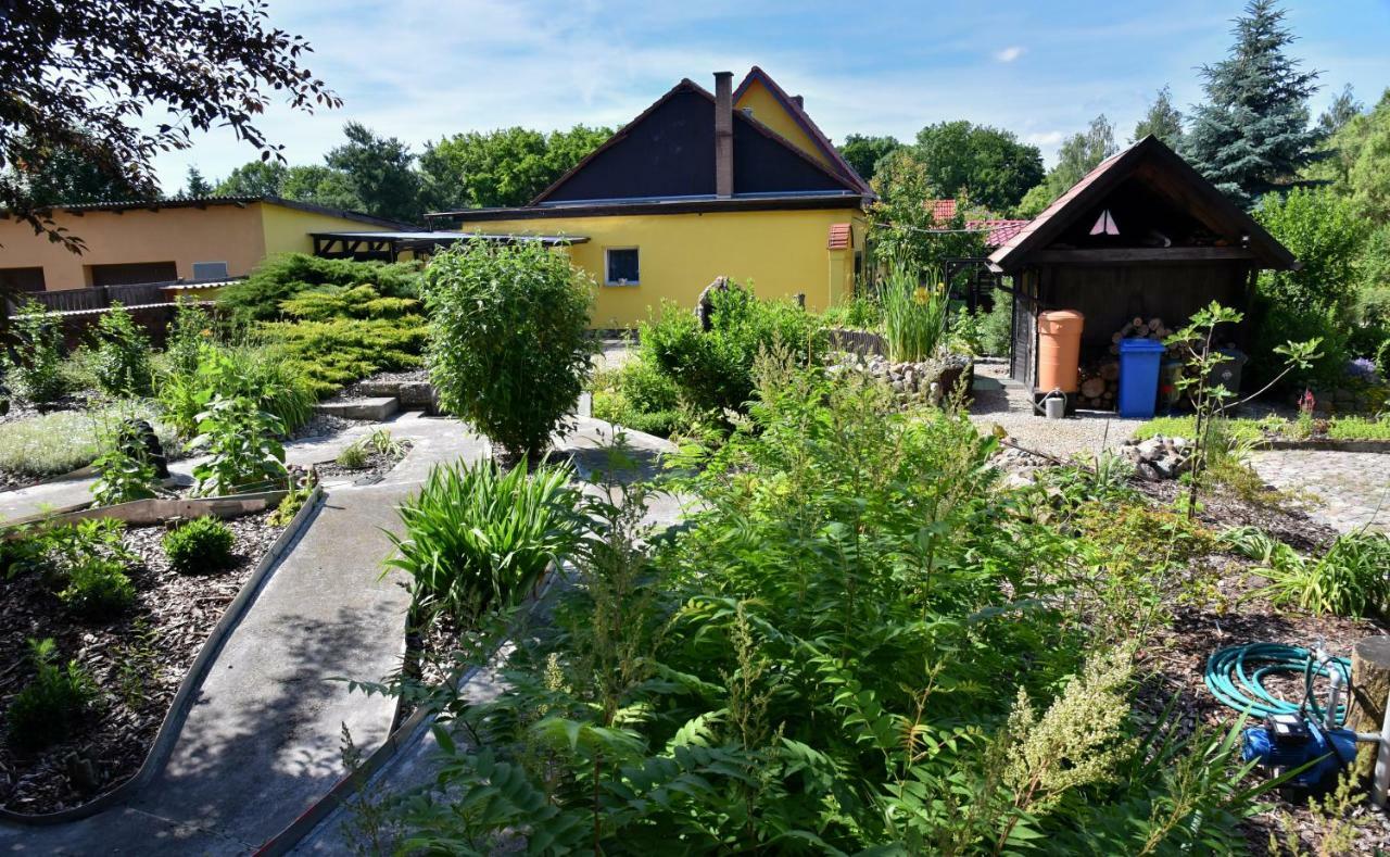 Ferienhaus "Am Gutspark" Alt Tucheband Buitenkant foto